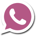 Chat on WhatsApp